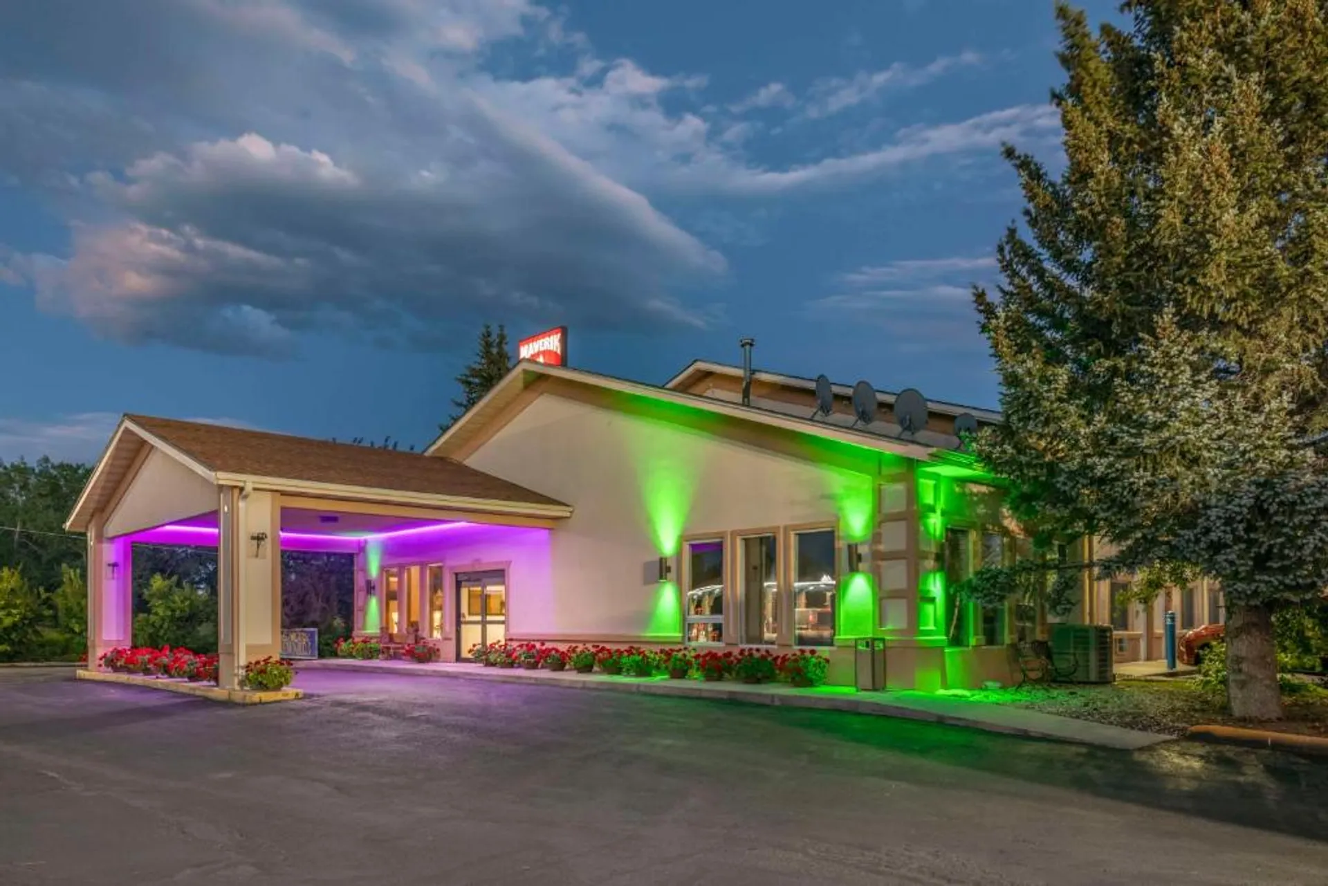 Surestay plus Best Western Buffalo