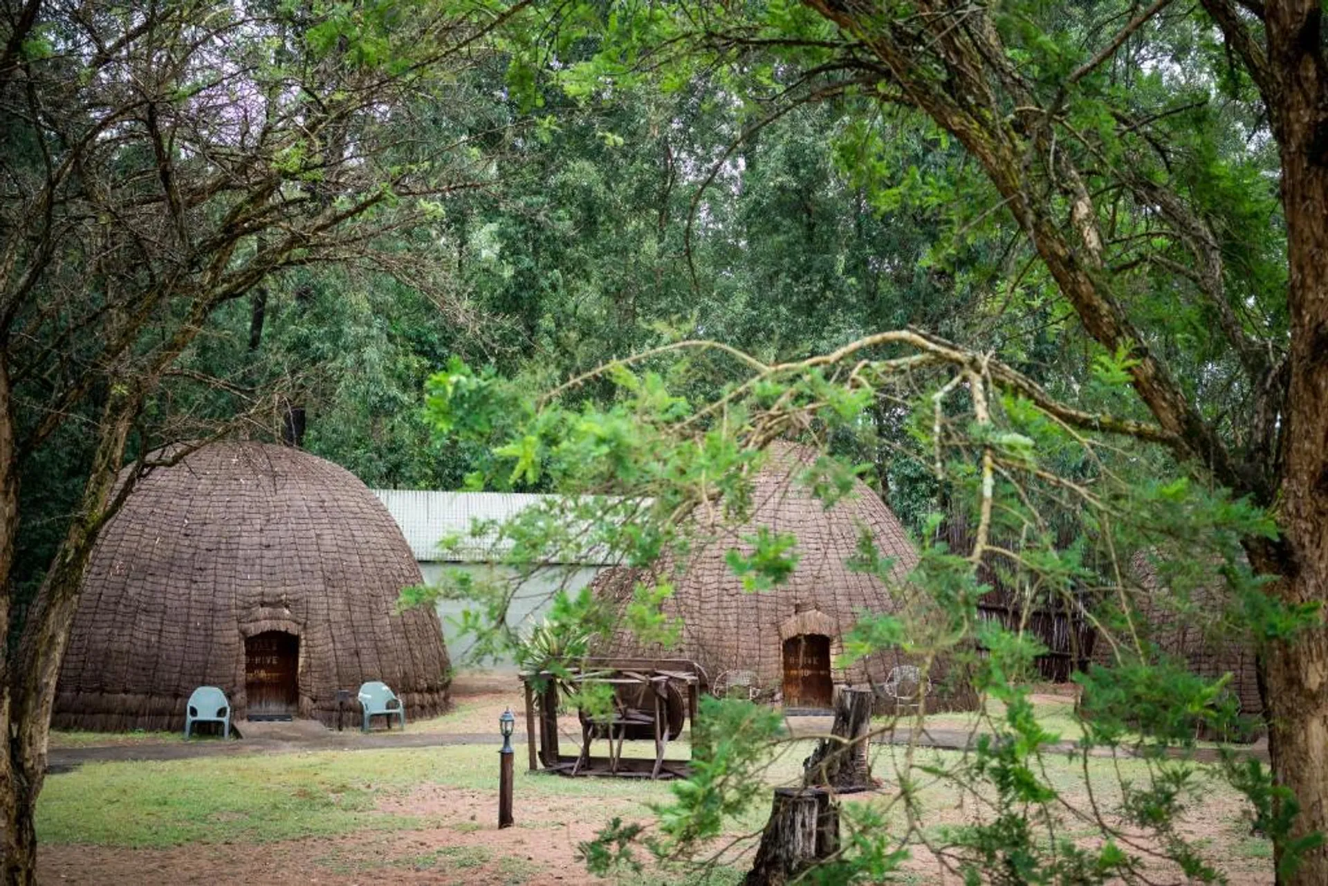 Mlilwane Wildlife Sanctuary