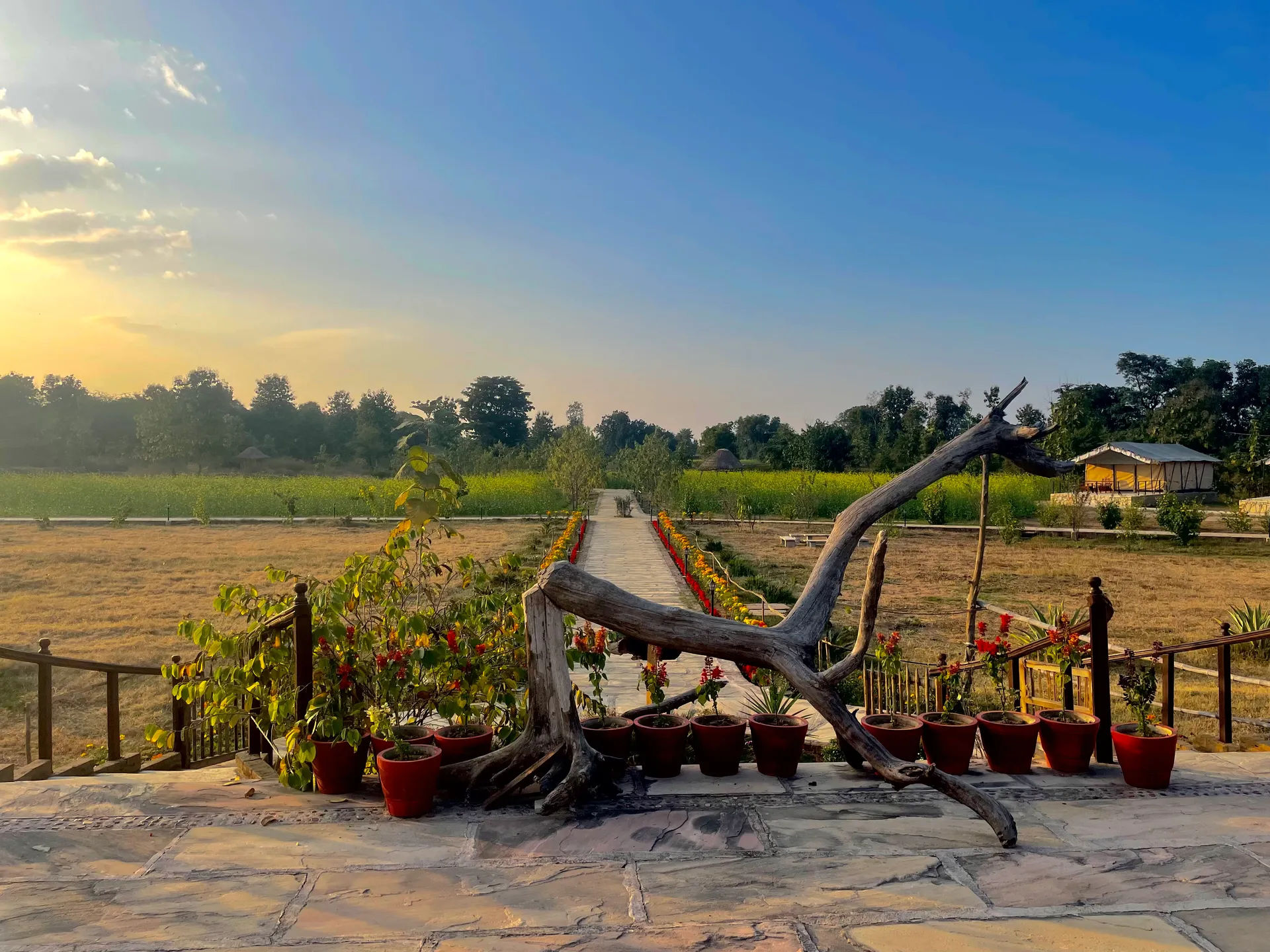 Nahar Bagh Resort
