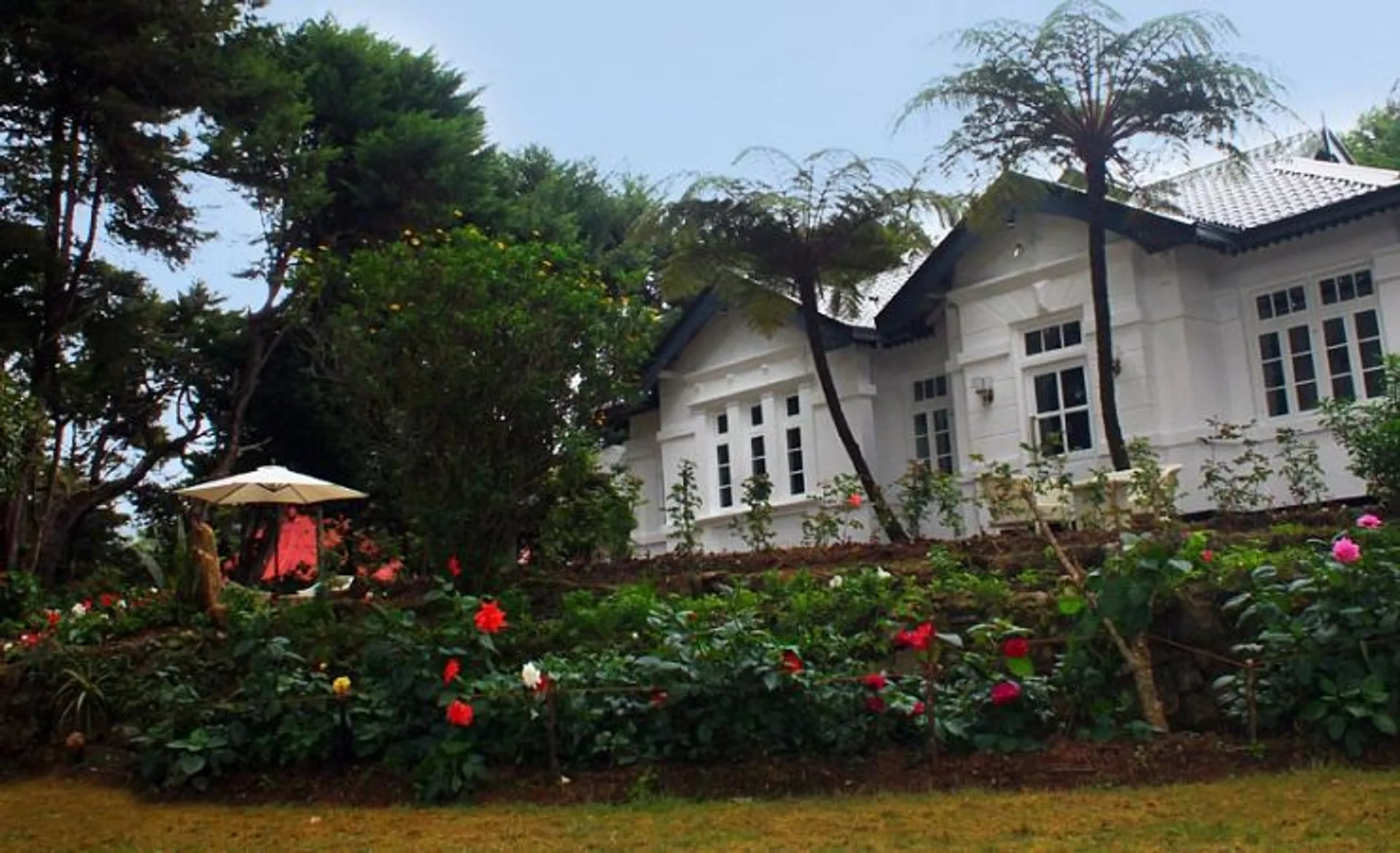 Mirage Kings Cottage