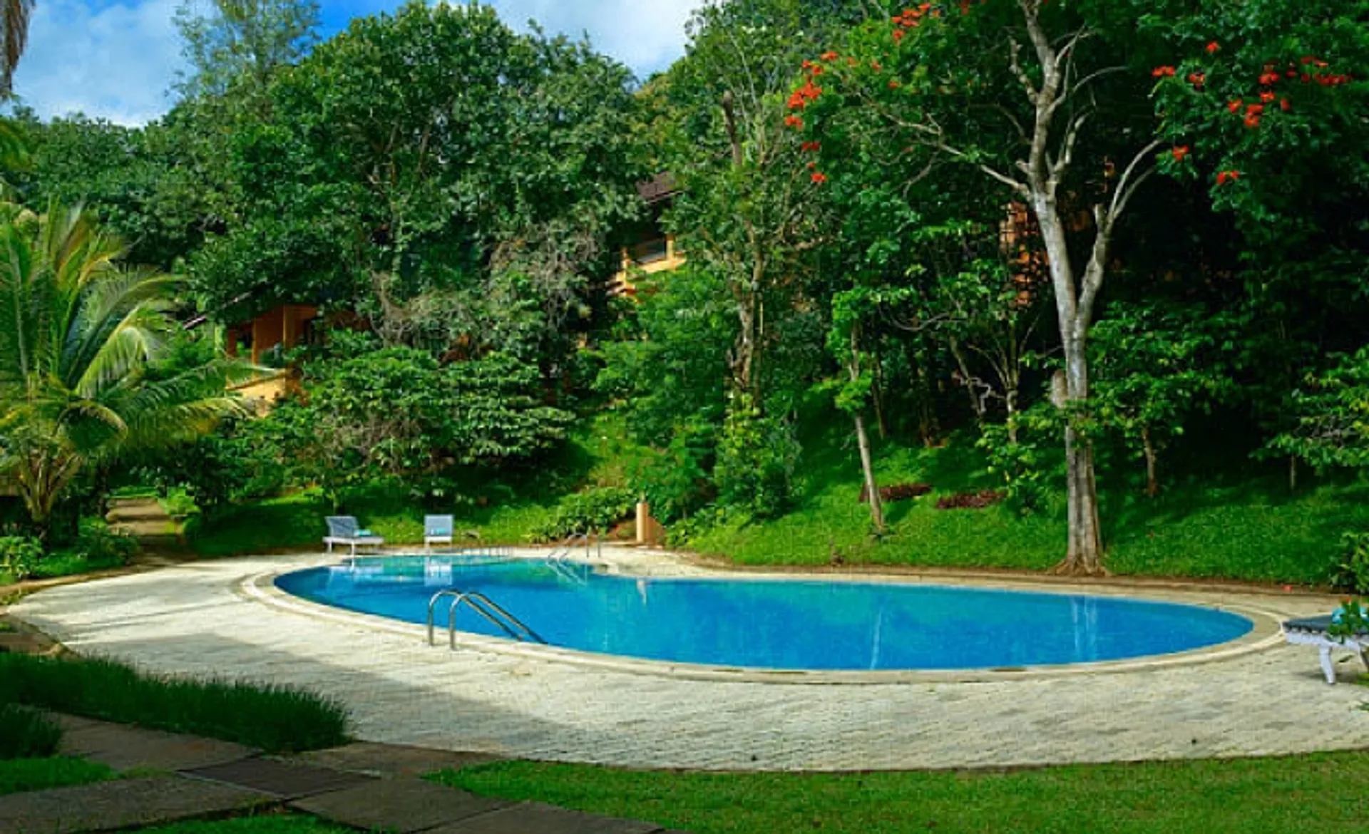 Abad Green Forest